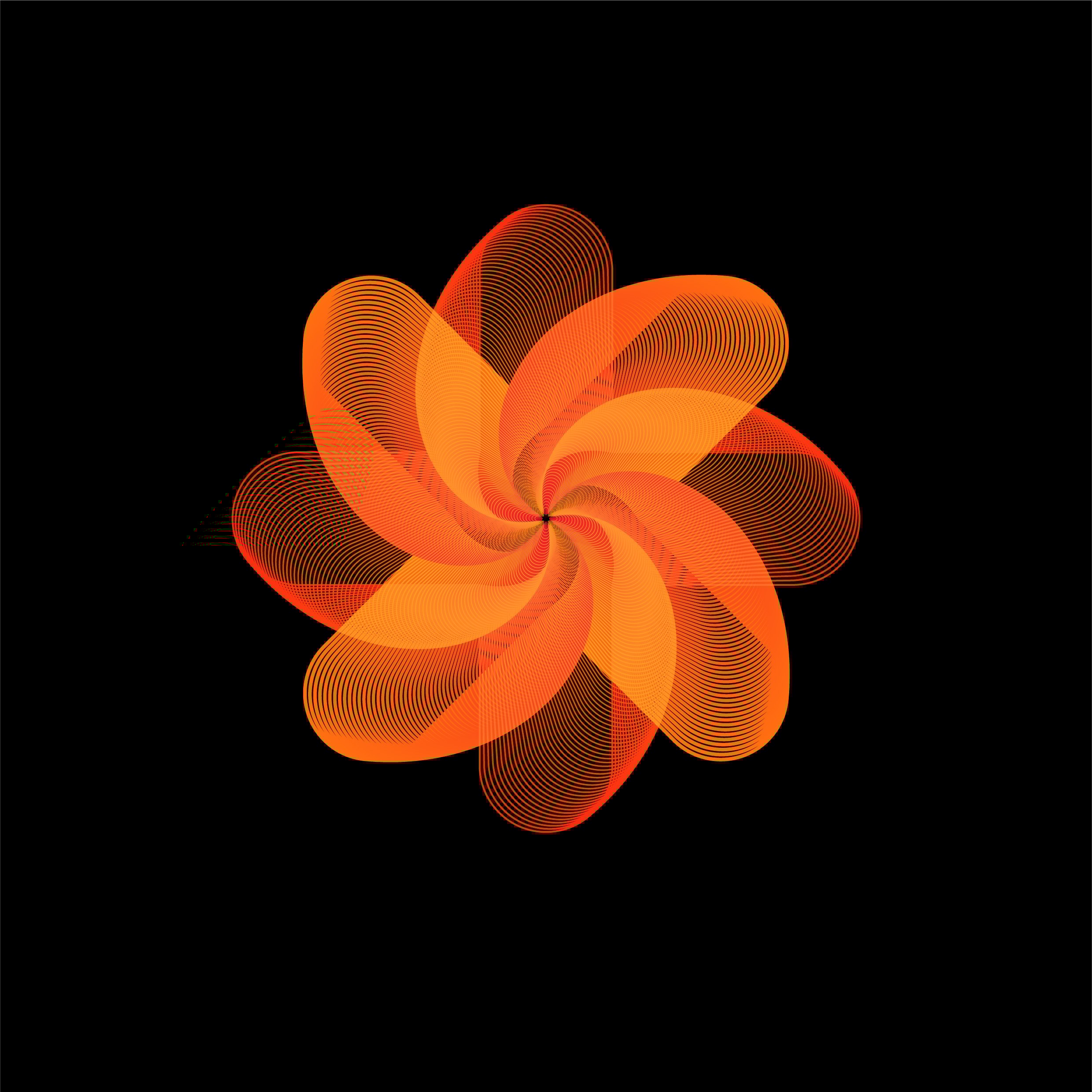 orange flower